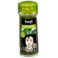 CAR PEREJIL BASIC